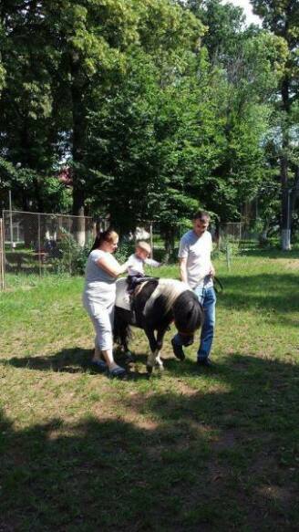 calare pe ponei la Sibiu